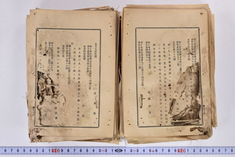 虎列刺予防法並保険之効用|岩手県通常会議日誌　自第壱六号至第廿壱号　下巻 - ページ 58