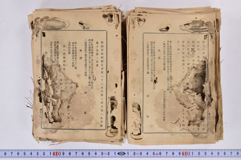 虎列刺予防法並保険之効用|岩手県通常会議日誌　自第壱六号至第廿壱号　下巻 - ページ 101