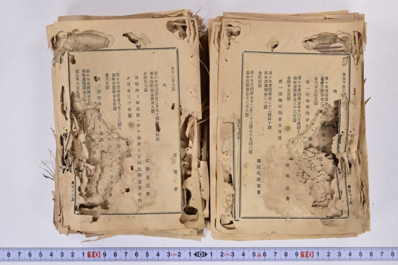 虎列刺予防法並保険之効用|岩手県通常会議日誌　自第壱六号至第廿壱号　下巻 - ページ 103