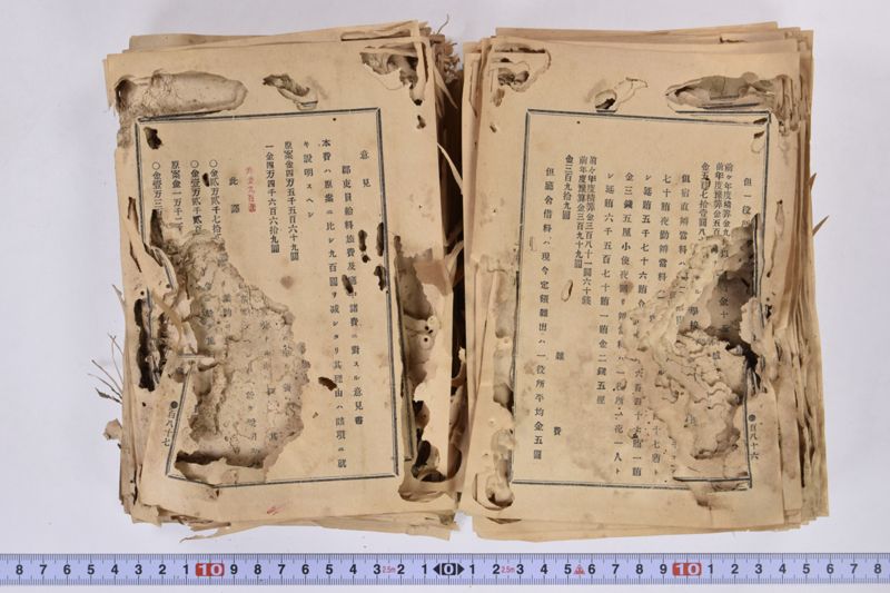 虎列刺予防法並保険之効用|岩手県通常会議日誌　自第壱六号至第廿壱号　下巻 - ページ 104