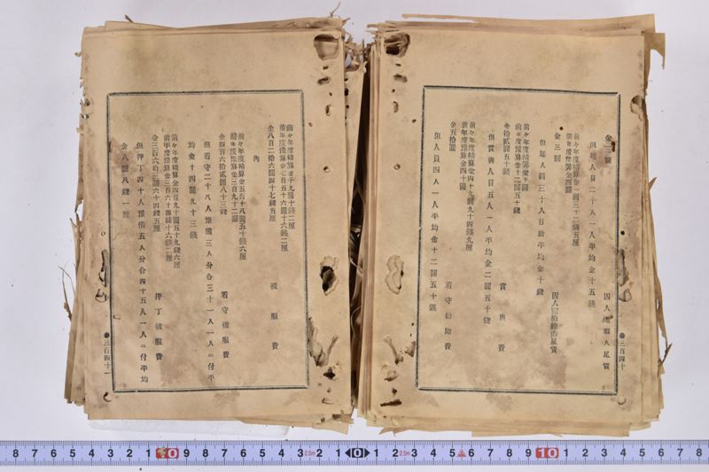虎列刺予防法並保険之効用|岩手県通常会議日誌　自第壱六号至第廿壱号　下巻 - ページ 162
