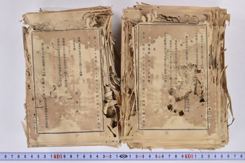 虎列刺予防法並保険之効用|岩手県通常会議日誌　自第壱六号至第廿壱号　下巻 - ページ 215