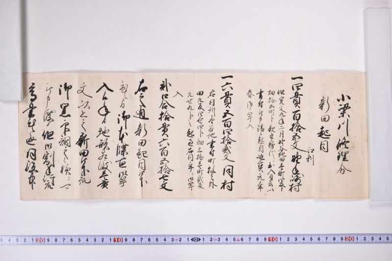 小梁川修理分新田起目 - ページ 2
