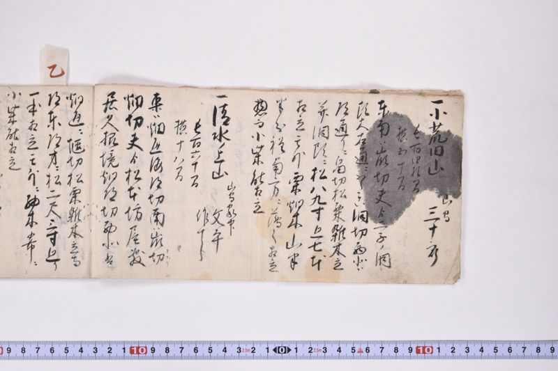 江刺郡野手崎村小梁川金之丞自分林十間之事 - ページ 6