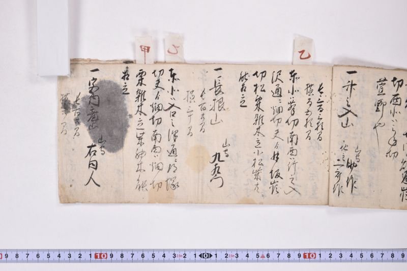 江刺郡野手崎村小梁川金之丞自分林十間之事 - ページ 9