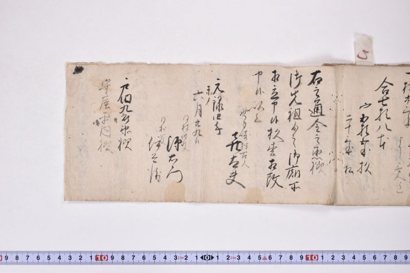 江刺郡野手崎村小梁川金之丞自分林十間之事 - ページ 15