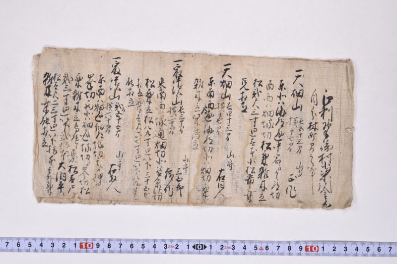 江刺郡野手崎村小梁川金之丞自分林町間之事 - ページ 2