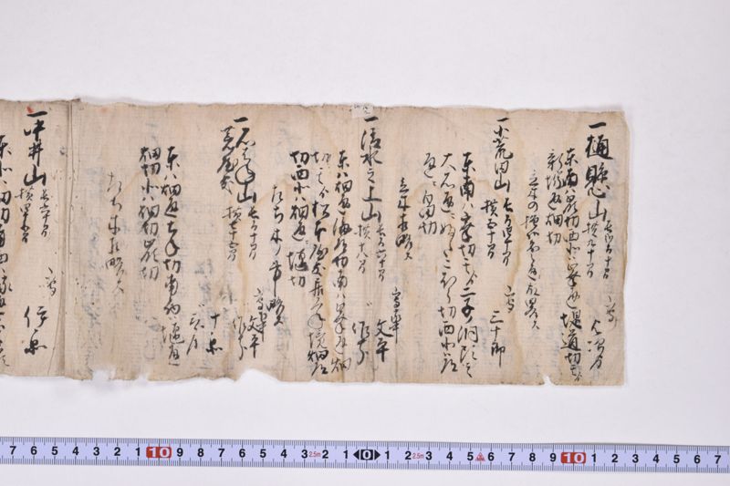 江刺郡野手崎村小梁川金之丞自分林町間之事 - ページ 3