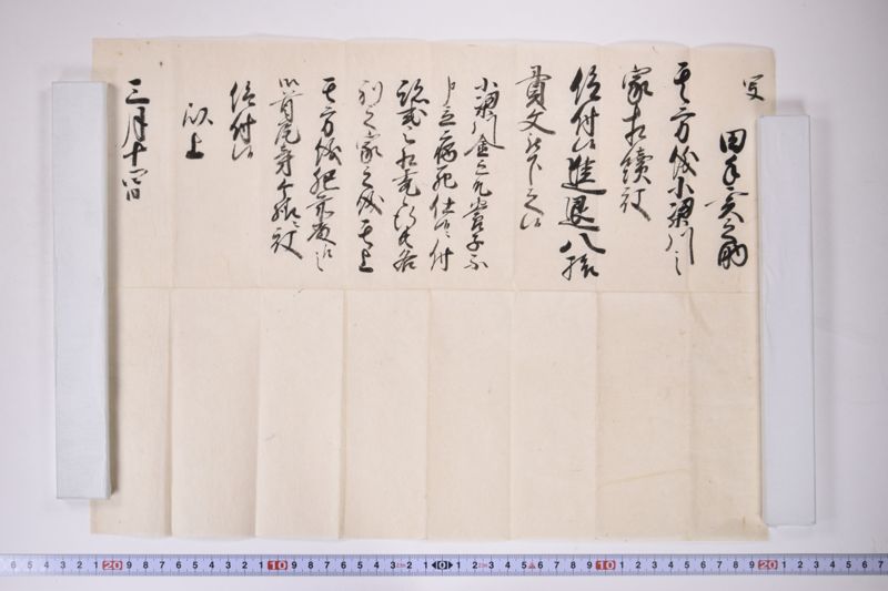 写（「田手亥之助　一　其方儀小梁川家〜」） - ページ 2
