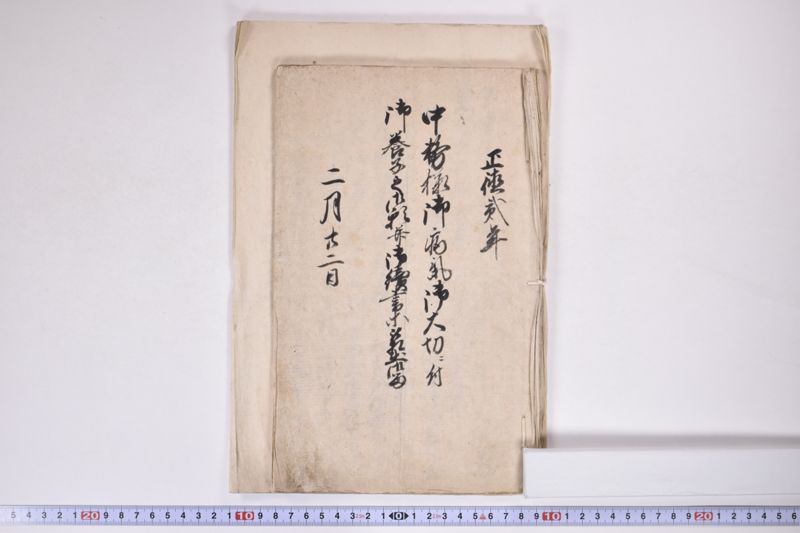 「中務様御病気御大切ニ付～」 - ページ 2