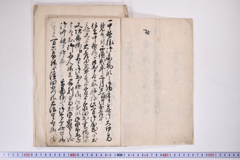 「中務様御病気御大切ニ付～」 - ページ 3