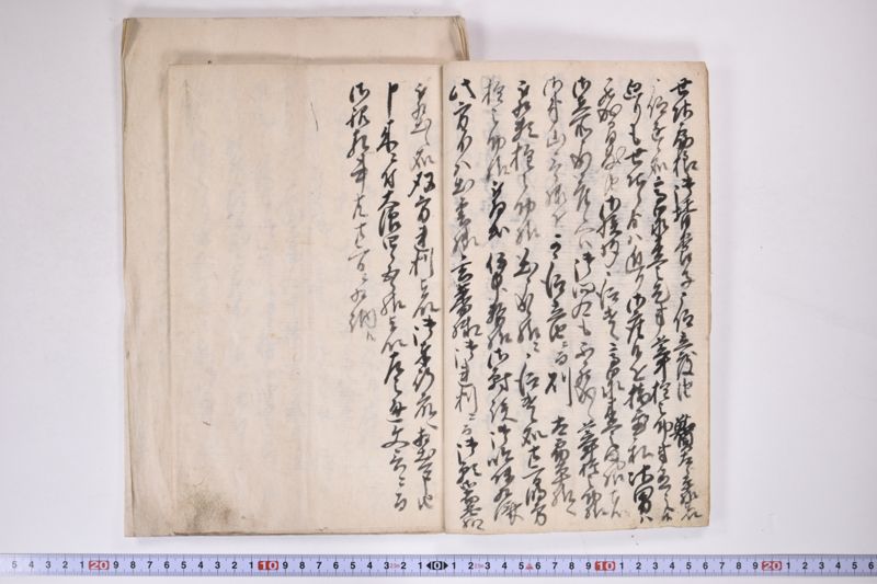 「中務様御病気御大切ニ付～」 - ページ 5