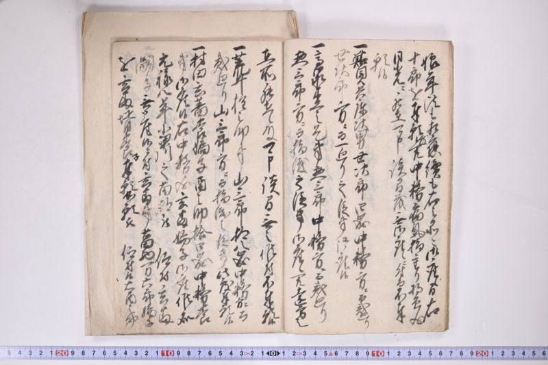 「中務様御病気御大切ニ付～」 - ページ 8