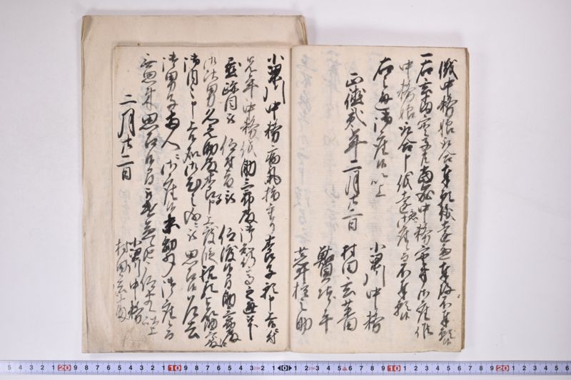 「中務様御病気御大切ニ付～」 - ページ 9