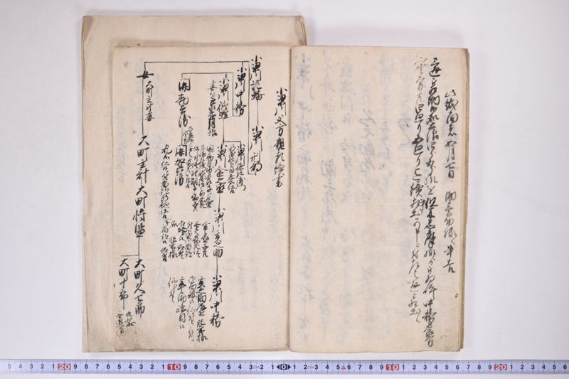 「中務様御病気御大切ニ付～」 - ページ 10
