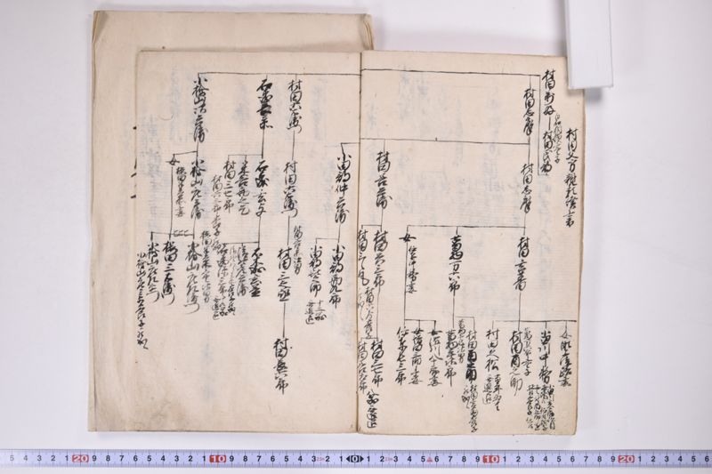 「中務様御病気御大切ニ付～」 - ページ 11