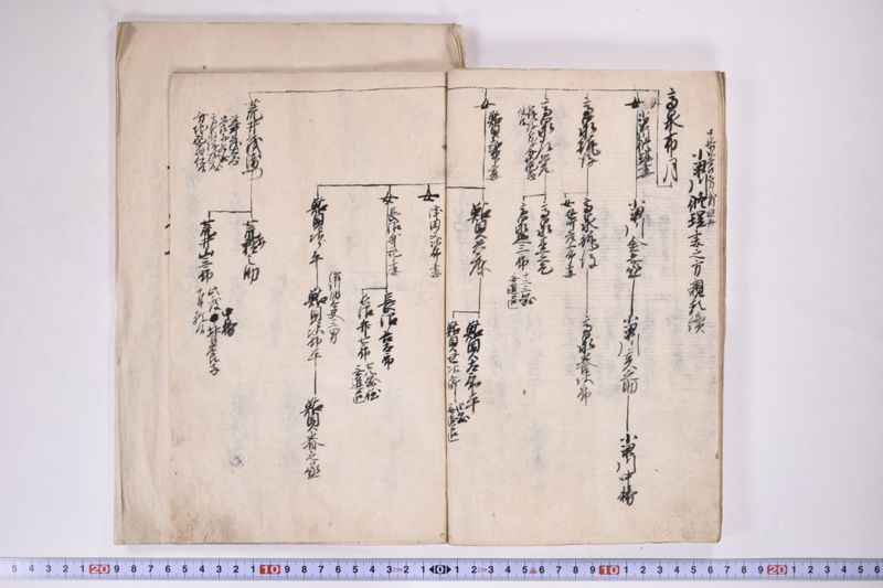 「中務様御病気御大切ニ付～」 - ページ 12