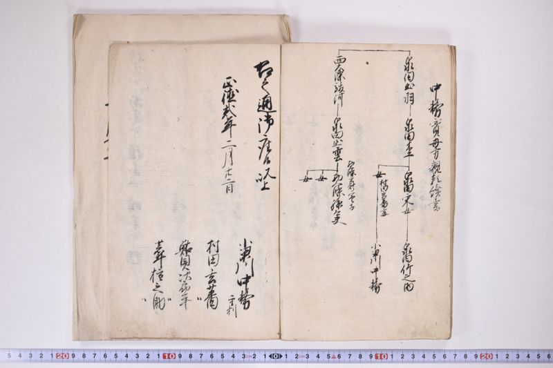 「中務様御病気御大切ニ付～」 - ページ 13