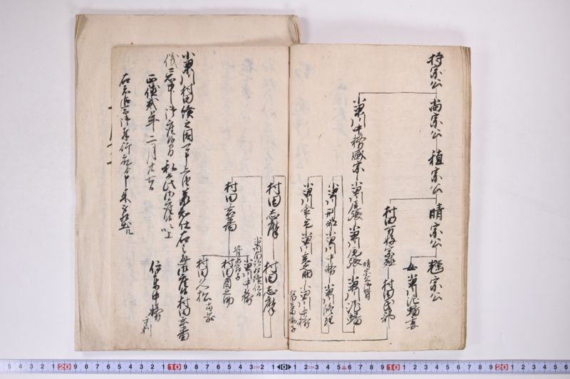 「中務様御病気御大切ニ付～」 - ページ 14
