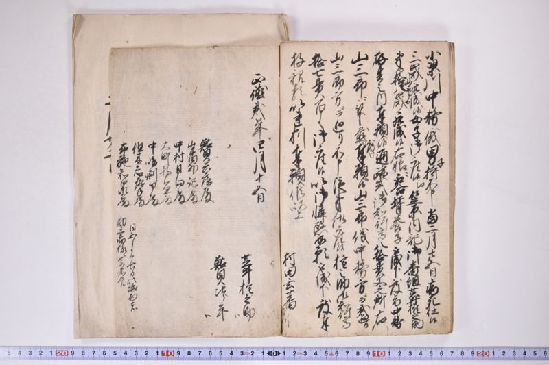 「中務様御病気御大切ニ付～」 - ページ 15