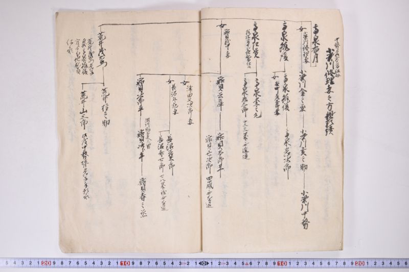 「中務様御病気御大切ニ付～」 - ページ 19