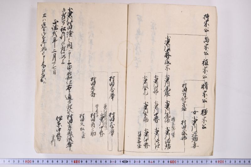 「中務様御病気御大切ニ付～」 - ページ 21