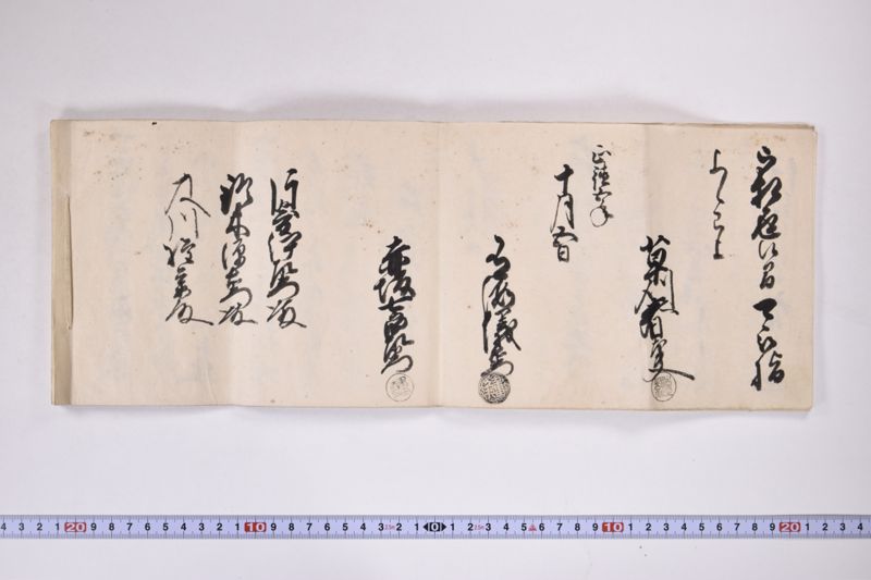 御系図御墨印入日記 - ページ 11