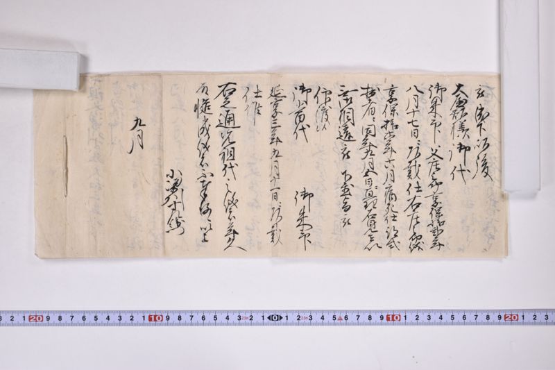 「拙者先祖伊達御譜代之由～」 - ページ 9