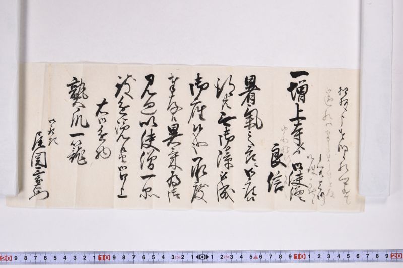 「一　増上寺より御徒僧良信～」 - ページ 3