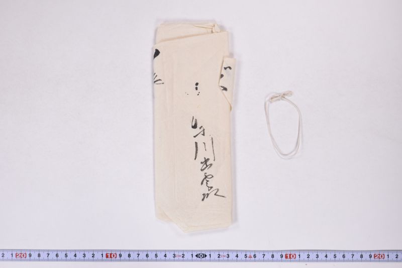 「小梁川出雲殿」 - ページ 2