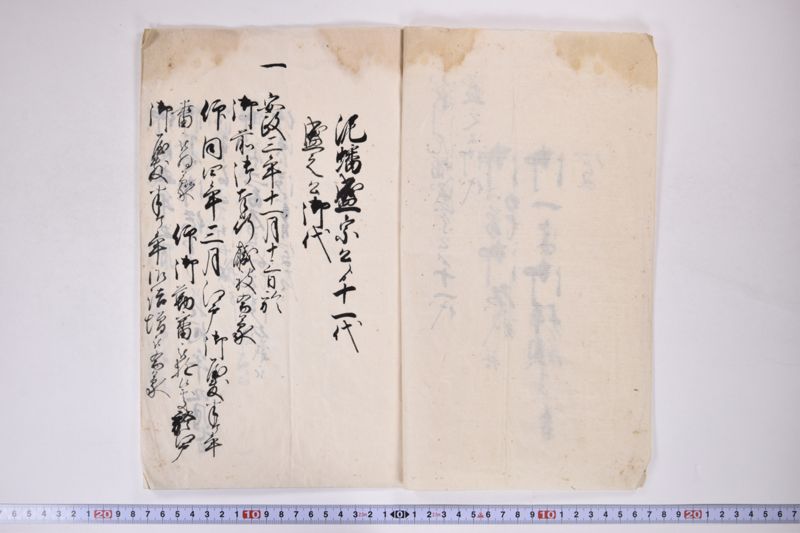 「小梁川泥蟠盛宗公より十一代～」 - ページ 3