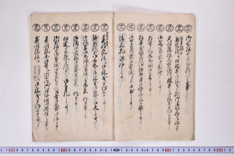 江戸御勤番御用留 - ページ 5