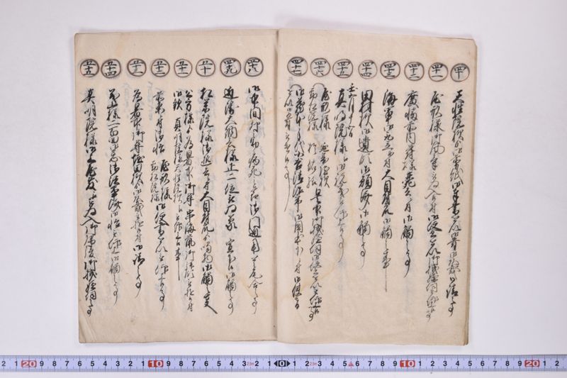 江戸御勤番御用留 - ページ 6
