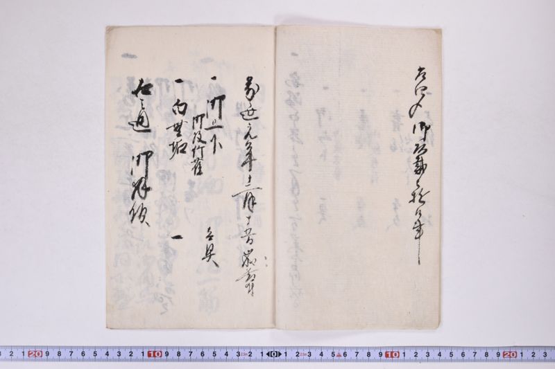 若殿様　盛恒公　御拝領物帳 - ページ 4