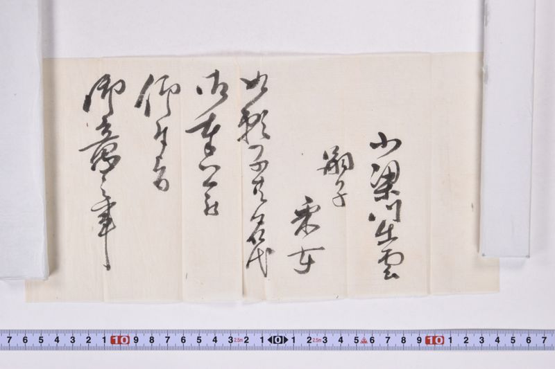 「小梁川出雲　嗣子　采女　如願子共名代〜」 - ページ 2