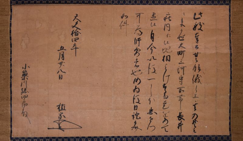 伊達稙宗書下（小梁川孫四郎） - ページ 6