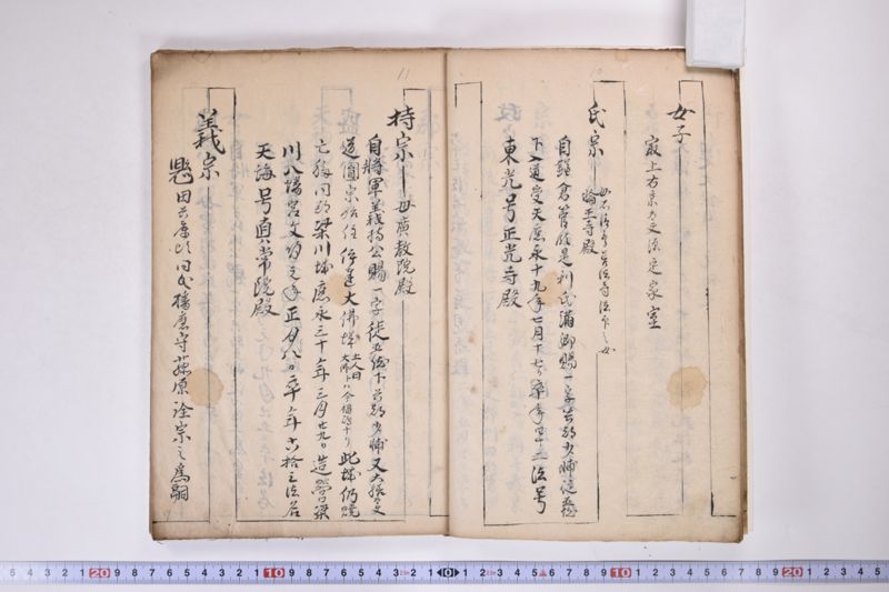 伊達氏系譜 - ページ 11