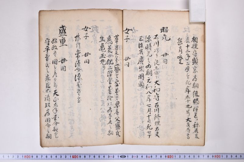 伊達氏系譜 - ページ 19