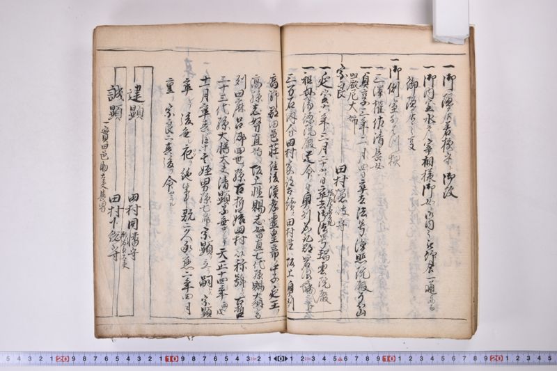 伊達氏系譜 - ページ 42