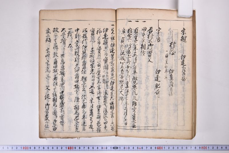 伊達氏系譜 - ページ 45