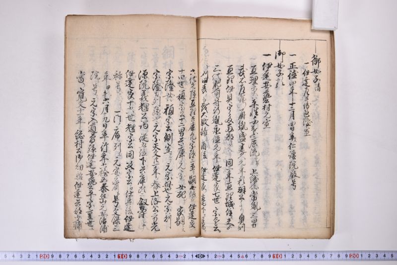 伊達氏系譜 - ページ 47