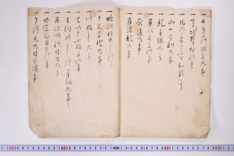 高麗流八条家抜書目録　一 - ページ 9