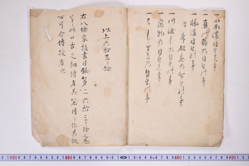 高麗流八条家抜書目録　一 - ページ 10