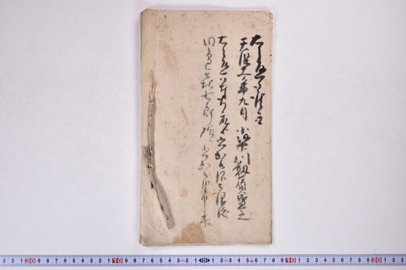 「天明八年九月十日五十六ニ而死法名〜」 - ページ 10