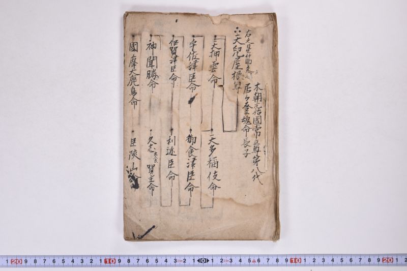 「本朝元始国常立尊第八代〜」（系図・家譜） - ページ 2
