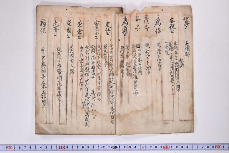 「本朝元始国常立尊第八代〜」（系図・家譜） - ページ 5