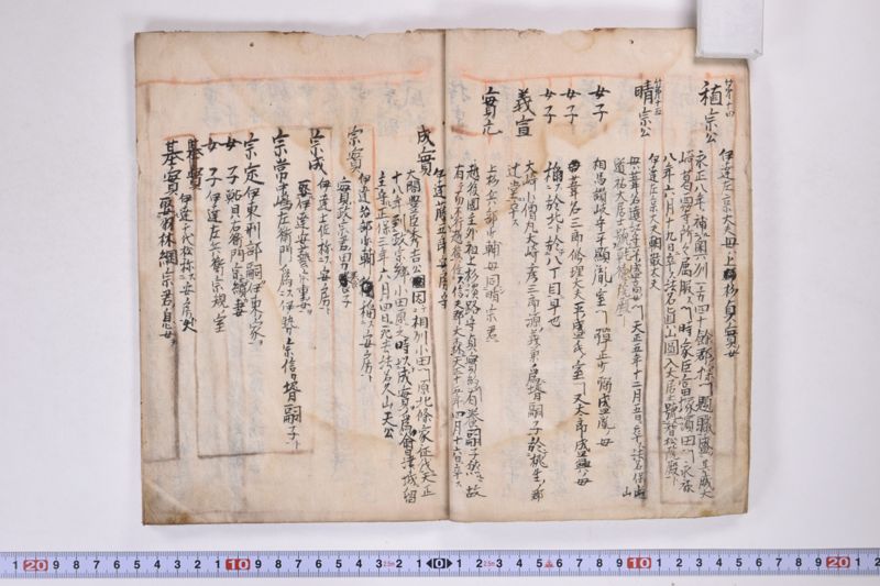 「本朝元始国常立尊第八代〜」（系図・家譜） - ページ 9