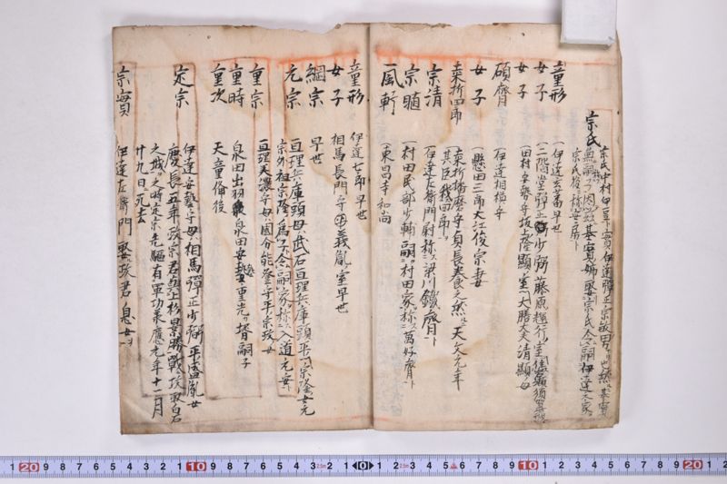 「本朝元始国常立尊第八代〜」（系図・家譜） - ページ 10