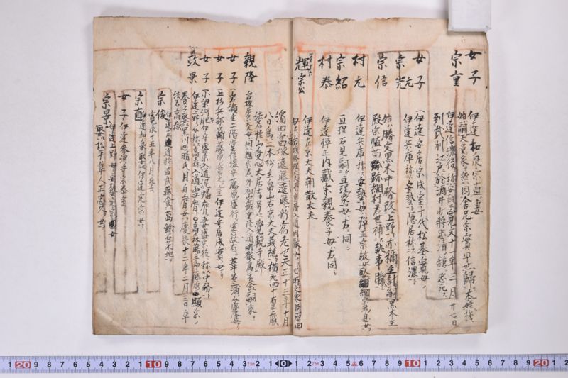 「本朝元始国常立尊第八代〜」（系図・家譜） - ページ 11