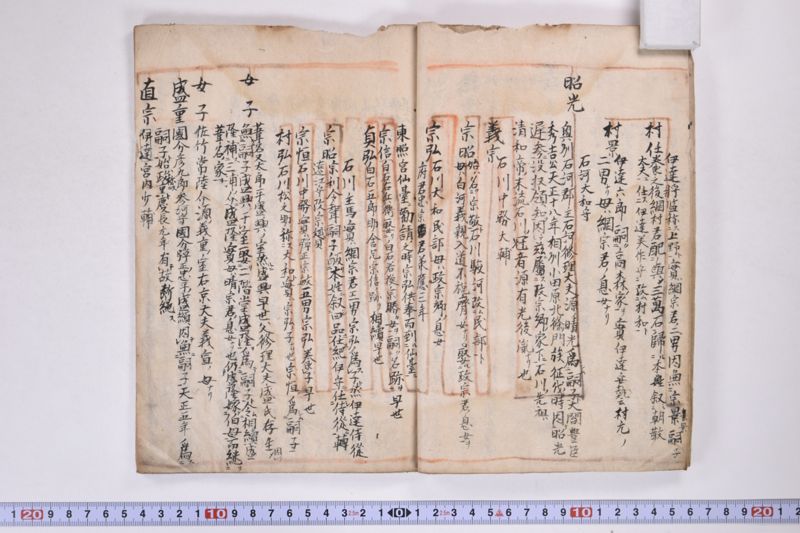 「本朝元始国常立尊第八代〜」（系図・家譜） - ページ 12